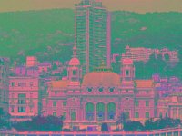 IMGP2807 edited (Medium)